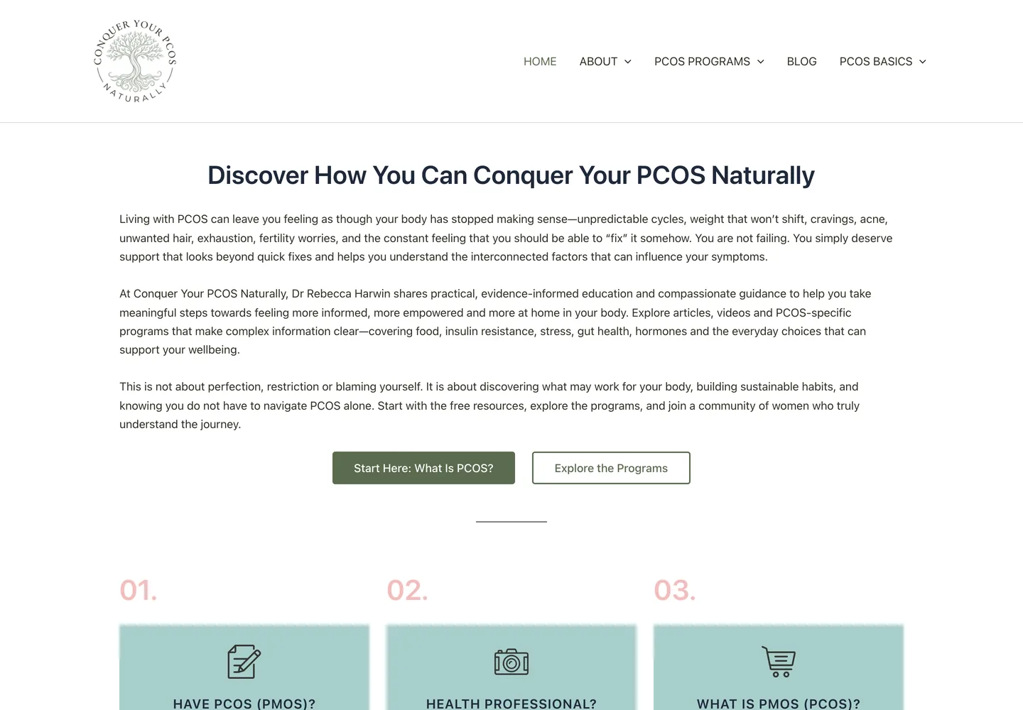 The rebuilt homepage: the logo and navigation on a white header, a clear headline, three paragraphs of introductory copy, two call-to-action buttons, and three plain panels linking to the blog, practitioner resources and the What Is PCOS page